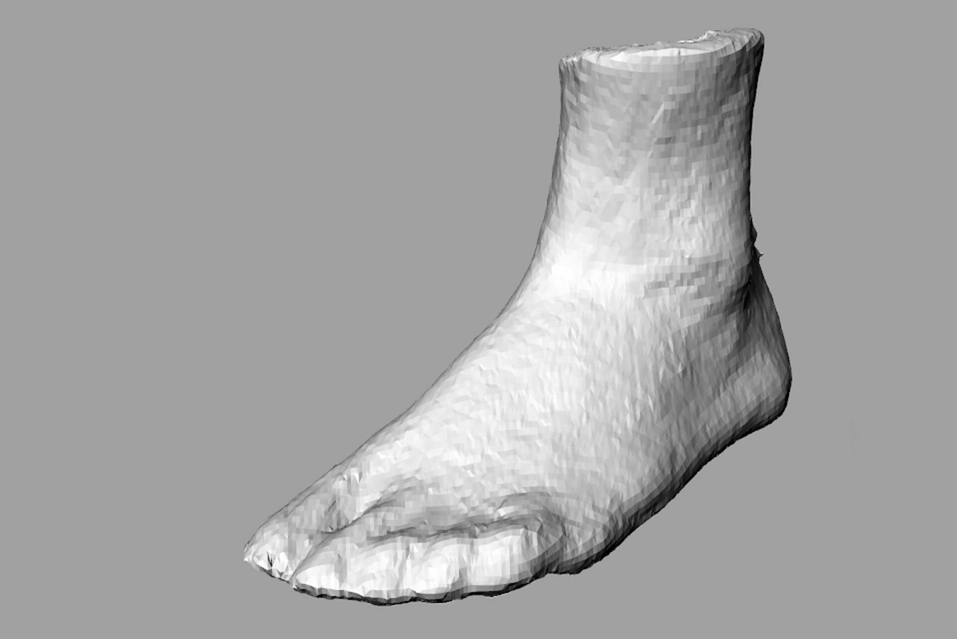 3Dscan_foot_02